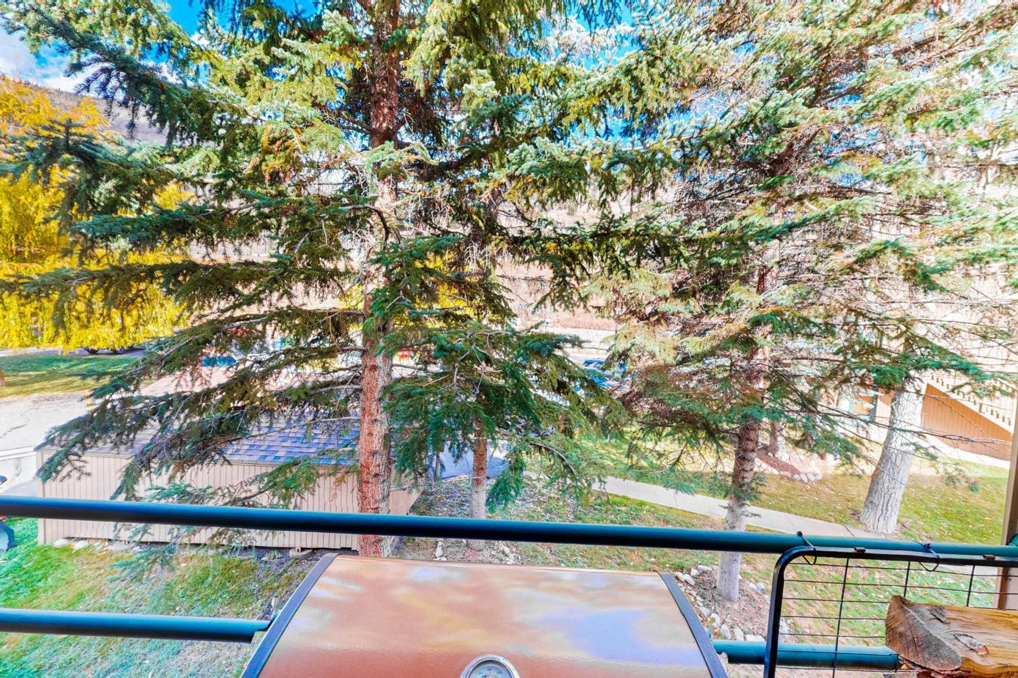 Pitkin Creek Park 7 Villa Vail Rom bilde