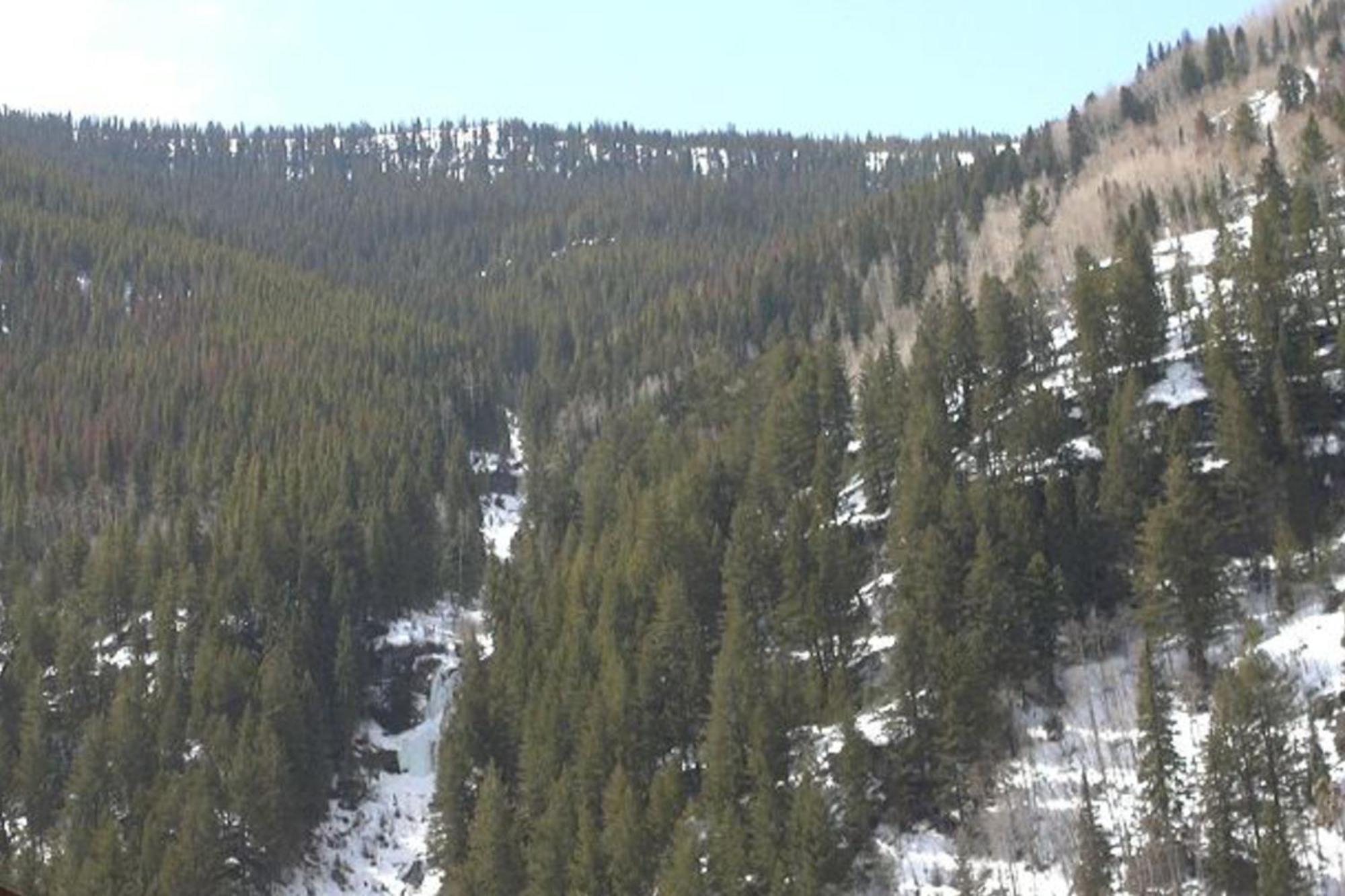 Pitkin Creek Park 7 Villa Vail Rom bilde